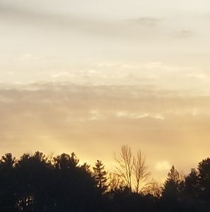 Meet your Posher, Ethan